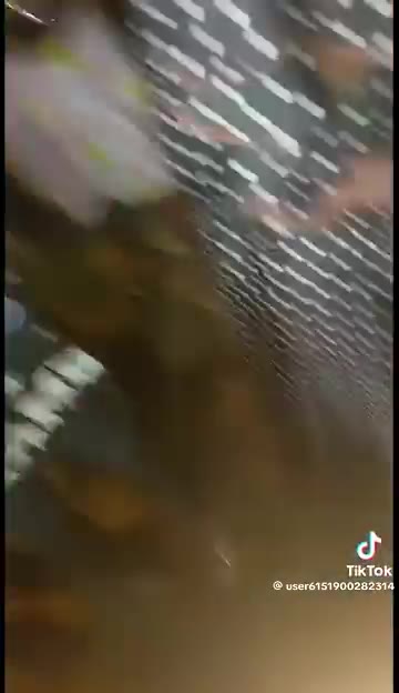 Makokou : Une femme apparait soudainement dans une maison en pleine nuit